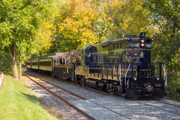 Picture of the colebrookdale train