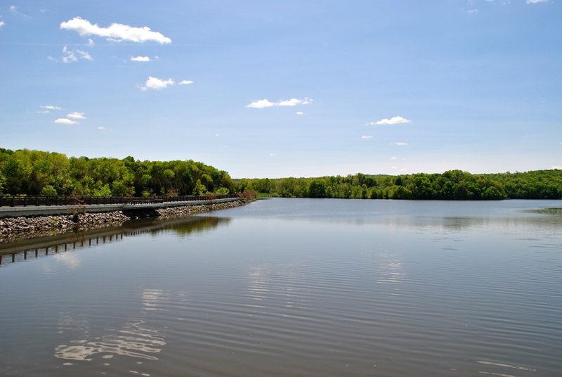 Scenic view of Green Lane Park